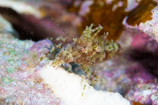 「無題」のサムネイル画像