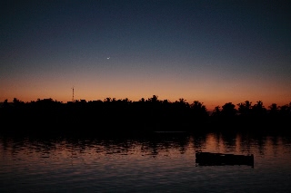 「無題」のサムネイル画像