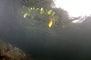 「無題」のサムネイル画像