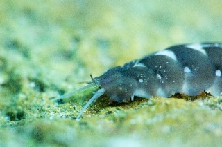 「無題」のサムネイル画像