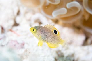 「無題」のサムネイル画像