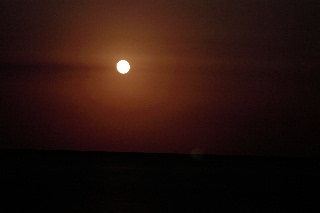 「無題」のサムネイル画像