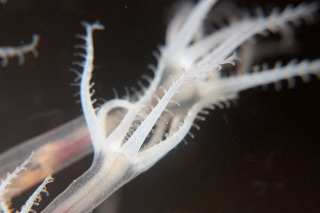 「無題」のサムネイル画像