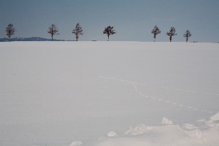 「無題」のサムネイル画像