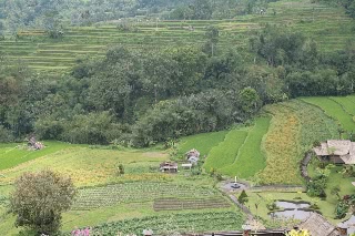 「無題」のサムネイル画像