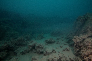 「無題」のサムネイル画像