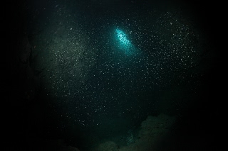 「無題」のサムネイル画像