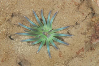 「無題」のサムネイル画像