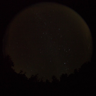 「無題」のサムネイル画像