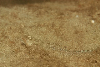 「無題」のサムネイル画像