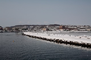 「無題」のサムネイル画像