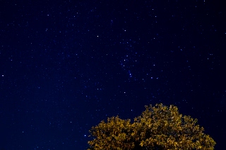 「無題」のサムネイル画像