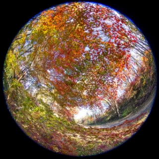 「無題」のサムネイル画像