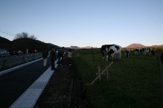 「牛と富士山を撮る人々」のサムネイル画像