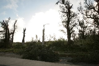 「無題」のサムネイル画像