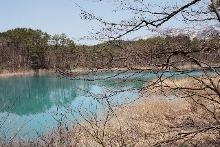 「弁天沼」のサムネイル画像