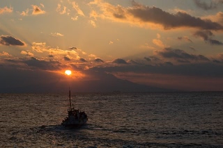 「無題」のサムネイル画像