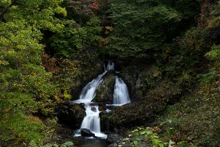 「無題」のサムネイル画像