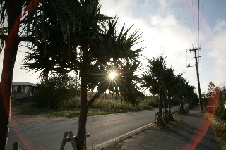 「無題」のサムネイル画像
