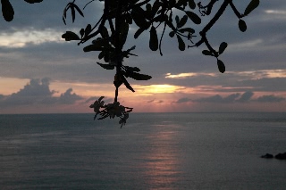 「無題」のサムネイル画像