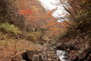 「無題」のサムネイル画像