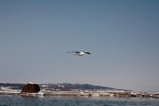 「無題」のサムネイル画像