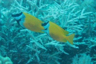 「無題」のサムネイル画像