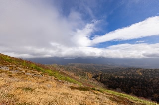 「無題」のサムネイル画像