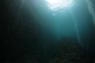 「無題」のサムネイル画像