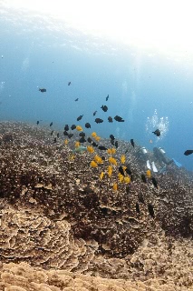 「無題」のサムネイル画像