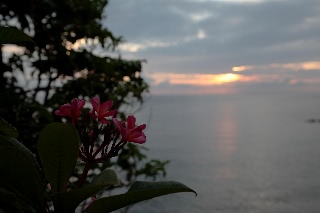 「無題」のサムネイル画像