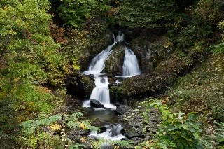 「無題」のサムネイル画像