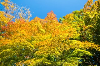 「無題」のサムネイル画像