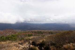 「無題」のサムネイル画像