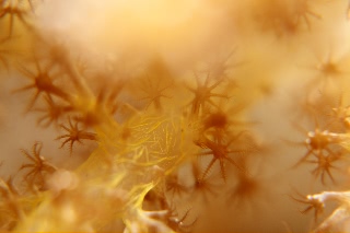 「無題」のサムネイル画像