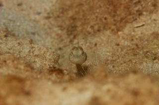 「無題」のサムネイル画像