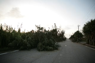 「無題」のサムネイル画像