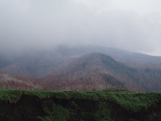 「桟橋からの眺め」のサムネイル画像