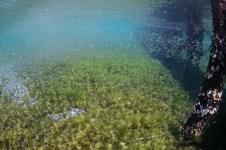 「無題」のサムネイル画像