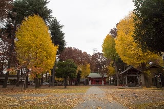「無題」のサムネイル画像
