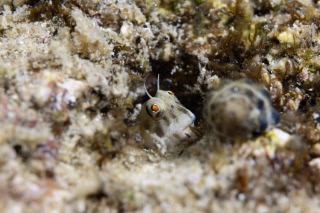 「無題」のサムネイル画像