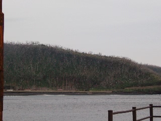 「桟橋からの眺め」のサムネイル画像