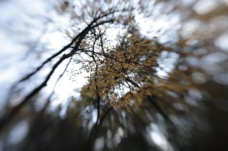 「無題」のサムネイル画像