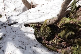 「無題」のサムネイル画像