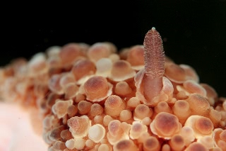 「無題」のサムネイル画像