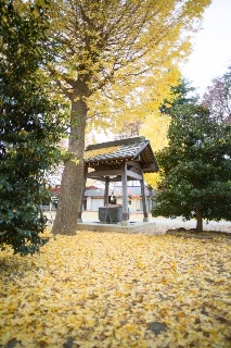 「無題」のサムネイル画像