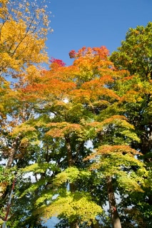 「無題」のサムネイル画像