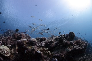 「無題」のサムネイル画像