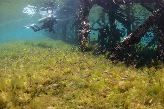 「無題」のサムネイル画像