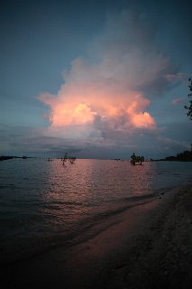 「無題」のサムネイル画像